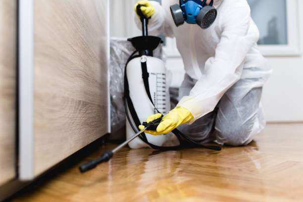 Best Pest Prevention Services  in Harrison, TN