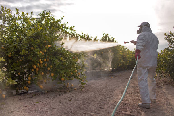 Pest Control for Restaurants in Harrison, TN