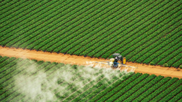 Best Mosquito Control Services  in Harrison, TN