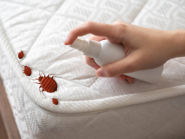 Best Cockroach Control Services  in Harrison, TN