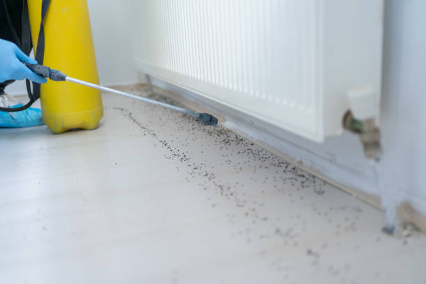Best Insect Control  in Harrison, TN