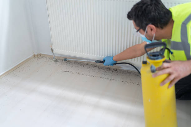 Best Wasp Removal Services  in Harrison, TN
