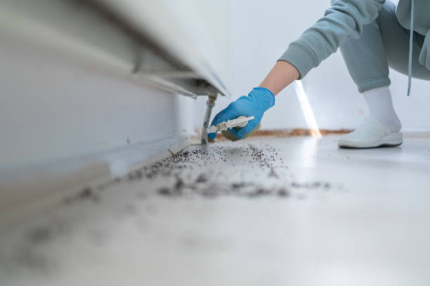Best Commercial Pest Control Services  in Harrison, TN